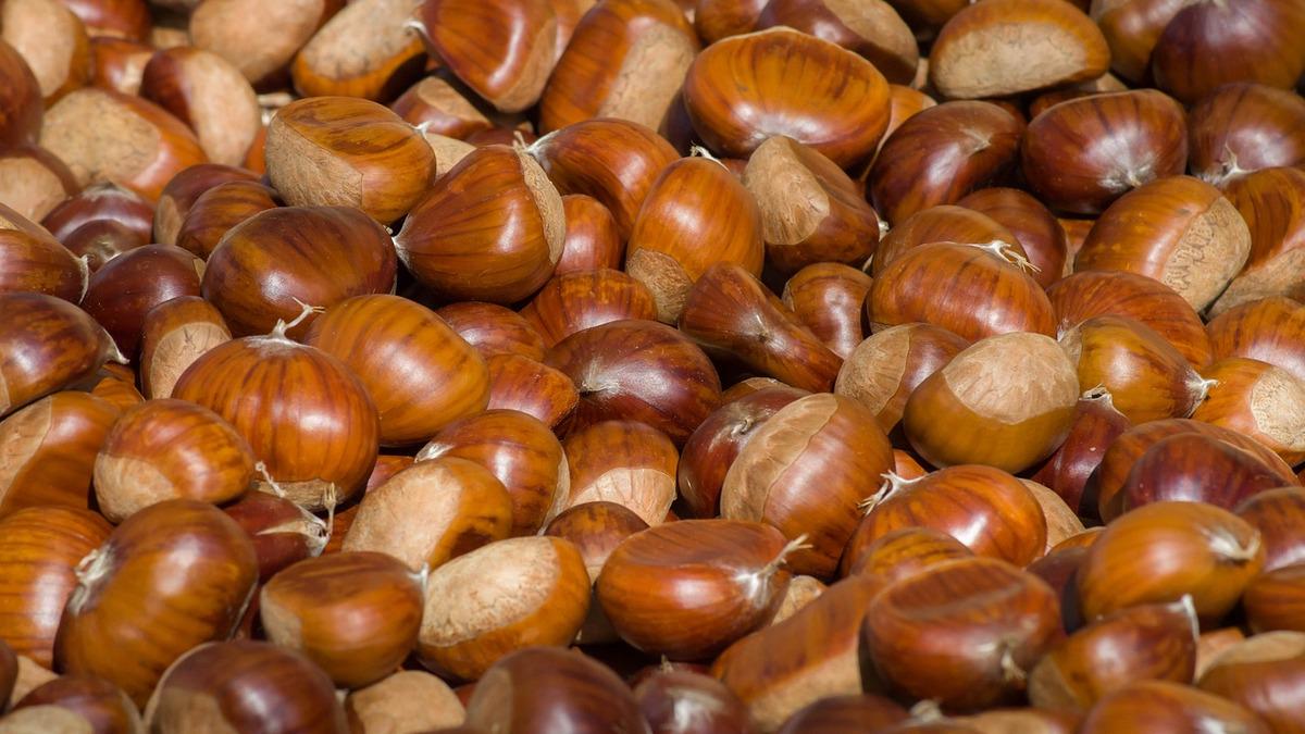 A close-up of a large pile of glossy, brown chestnuts in their shells. The nuts are densely packed together, filling the frame.