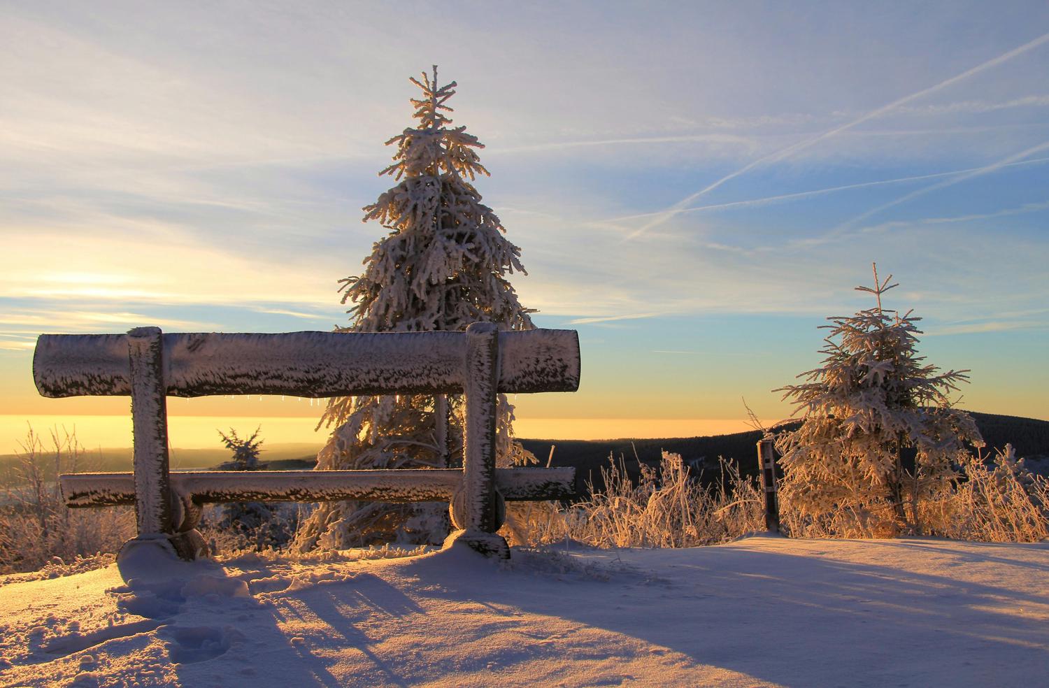 A snow-covered wooden bench sits on a hillside next to snow-covered evergreen trees under a colorful sky at sunrise or sunset. The distant horizon appears golden, and contrails are visible in the blue sky.