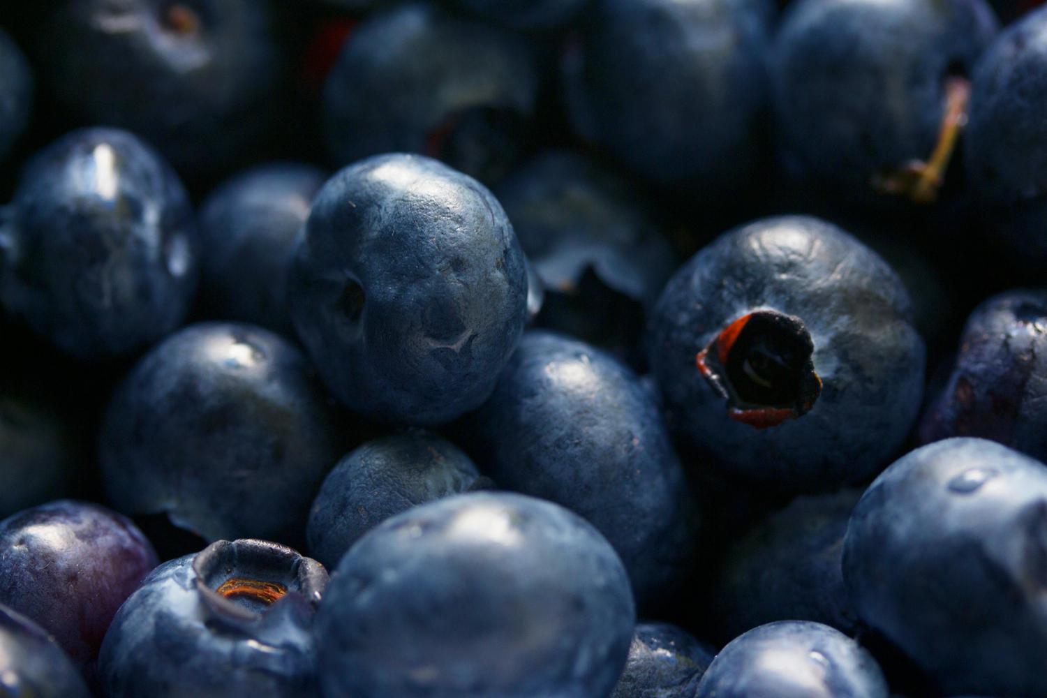 A close-up view shows a pile of fresh blueberries, their surfaces covered in a dusty bloom. The fruit is arranged tightly together, creating a textured pattern of blues and purples.