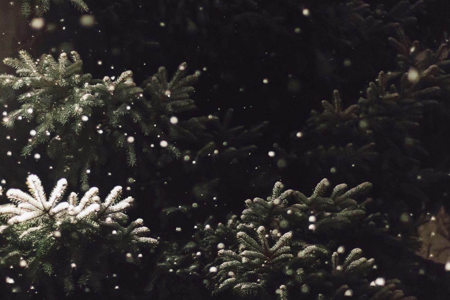 A close-up of evergreen branches in soft focus with snow falling. The background is dark, emphasizing the texture and delicate snowfall.