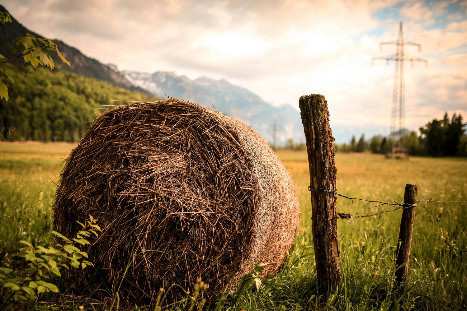 A round bale of hay sits in a grassy field next to a weathered wooden fence post, with mountains and a power line tower visible in the background. The overall tone is warm and golden.