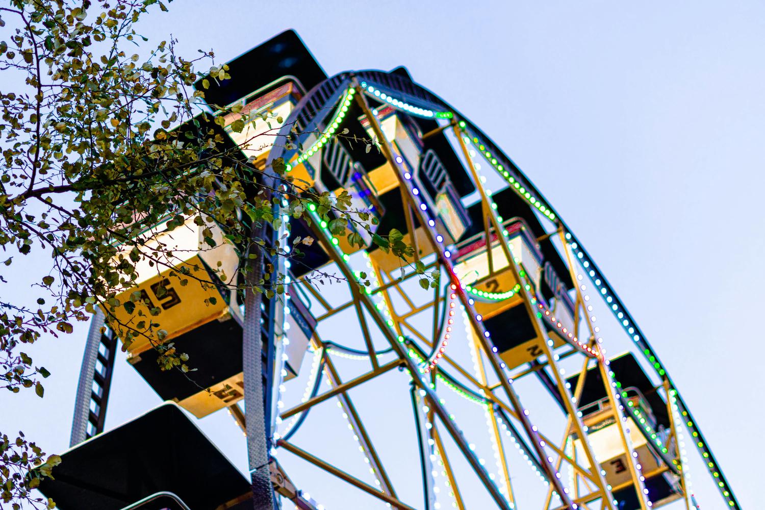 Looking up at a Ferris wheel against a pale sky, adorned with colorful lights and with tree branches and leaves in the foreground. The cabins are yellow and black, with the frame of the wheel appearing to be gold.