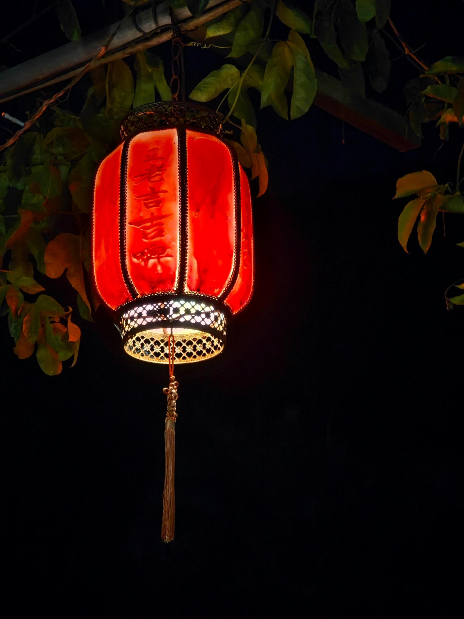 A lit, red Chinese lantern hangs from a branch with green leaves against a dark background. The lantern features Chinese characters and a decorative tassel.