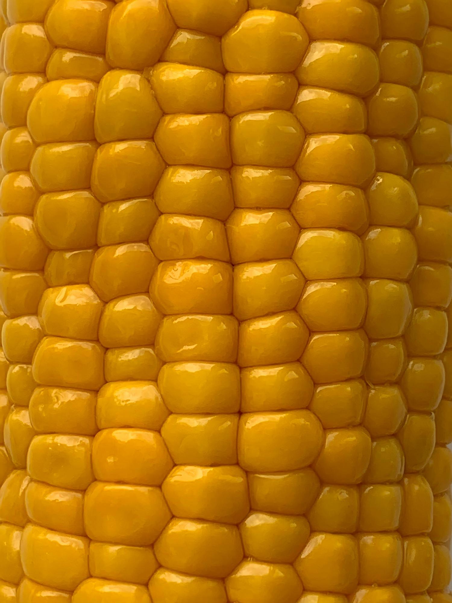 Close-up of rows of bright yellow kernels on an ear of corn. The kernels are plump and shiny.