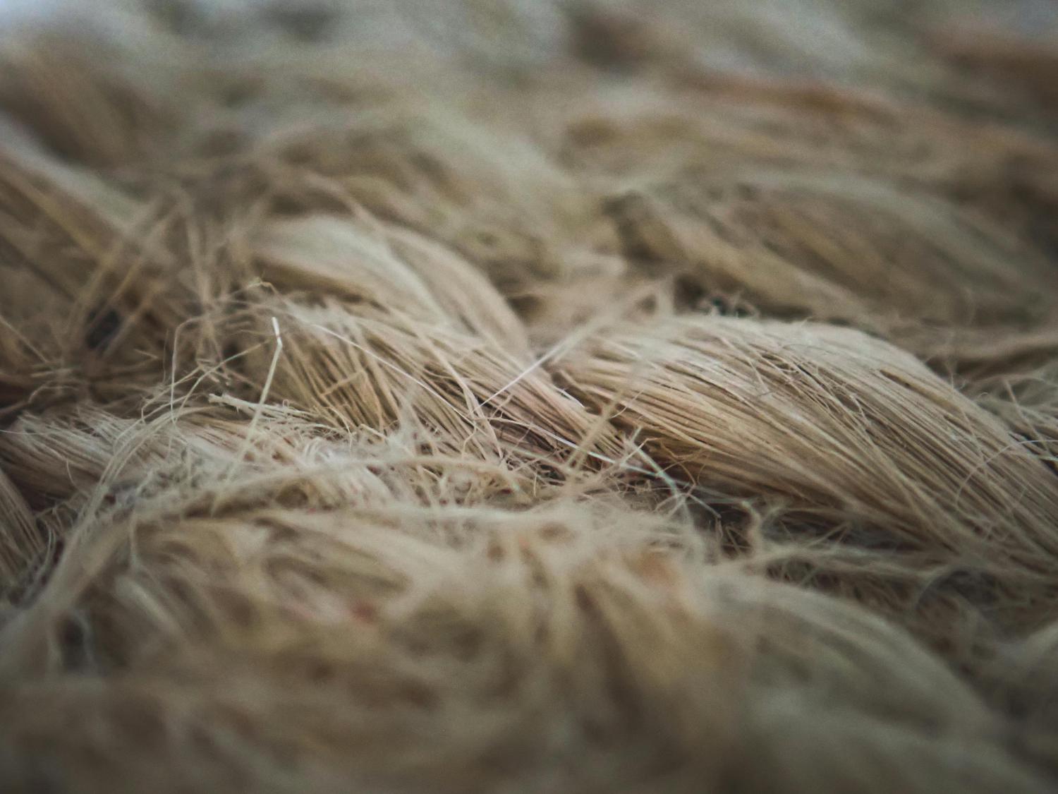 Bundles of light brown natural fibers, possibly flax or jute, with individual strands visible and a coarse texture.