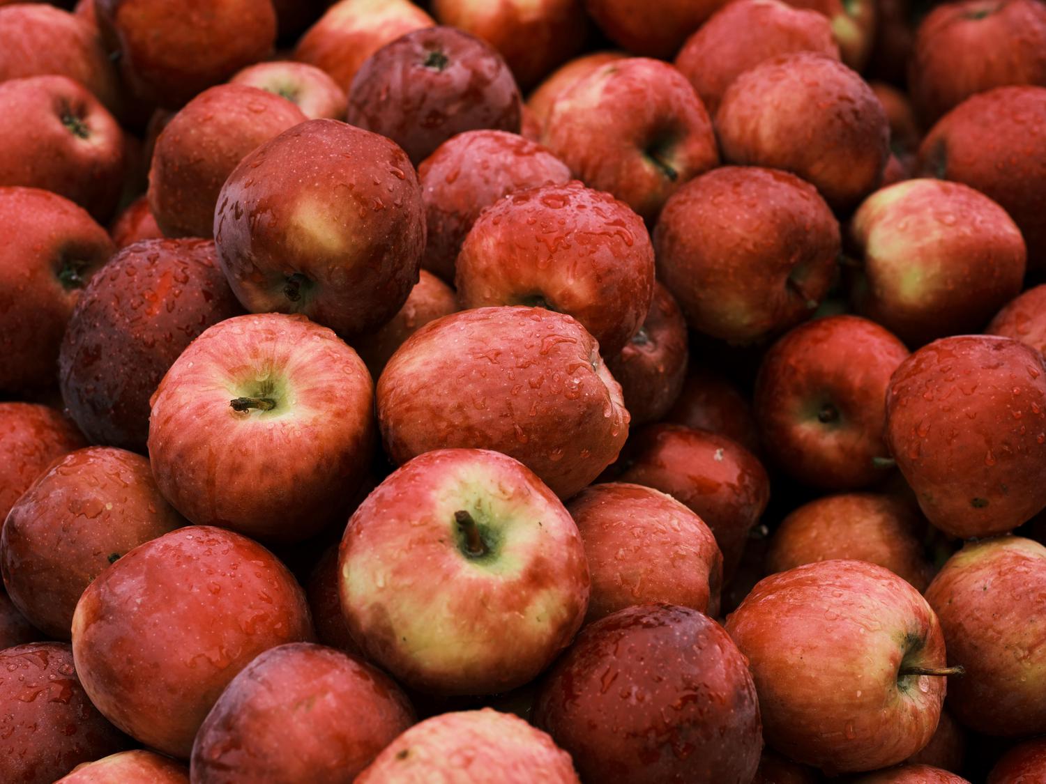 A large pile of vibrant red apples, many covered in glistening water droplets.