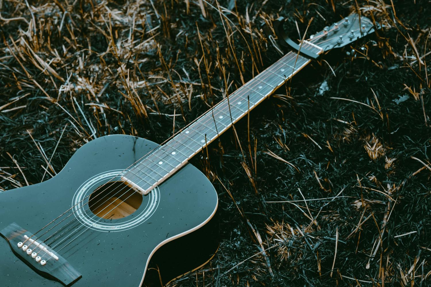 An outdoor Bluegrass on the Grass festival scene features people seated in folding chairs on a grassy field, facing food vendor stalls, beneath a large text overlay detailing event information and band lineups.
