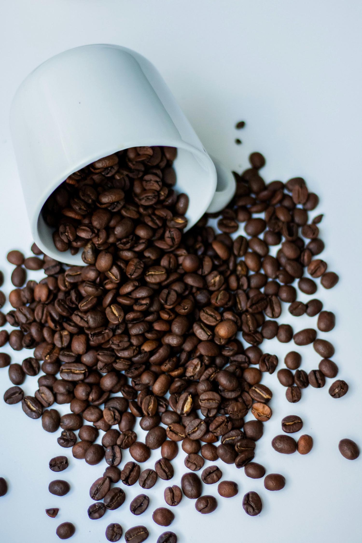A white mug lies on its side, overflowing with dark roasted coffee beans scattered across a bright white surface.