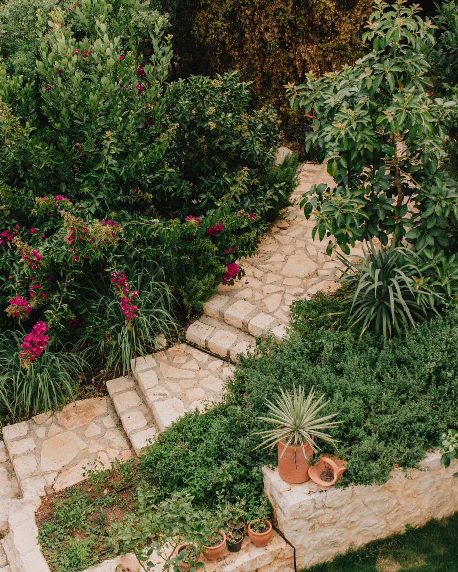 A lush, terraced garden features winding stone steps surrounded by dense green foliage and bushes with vibrant pink flowers. Several terracotta pots sit among the plants at the bottom.