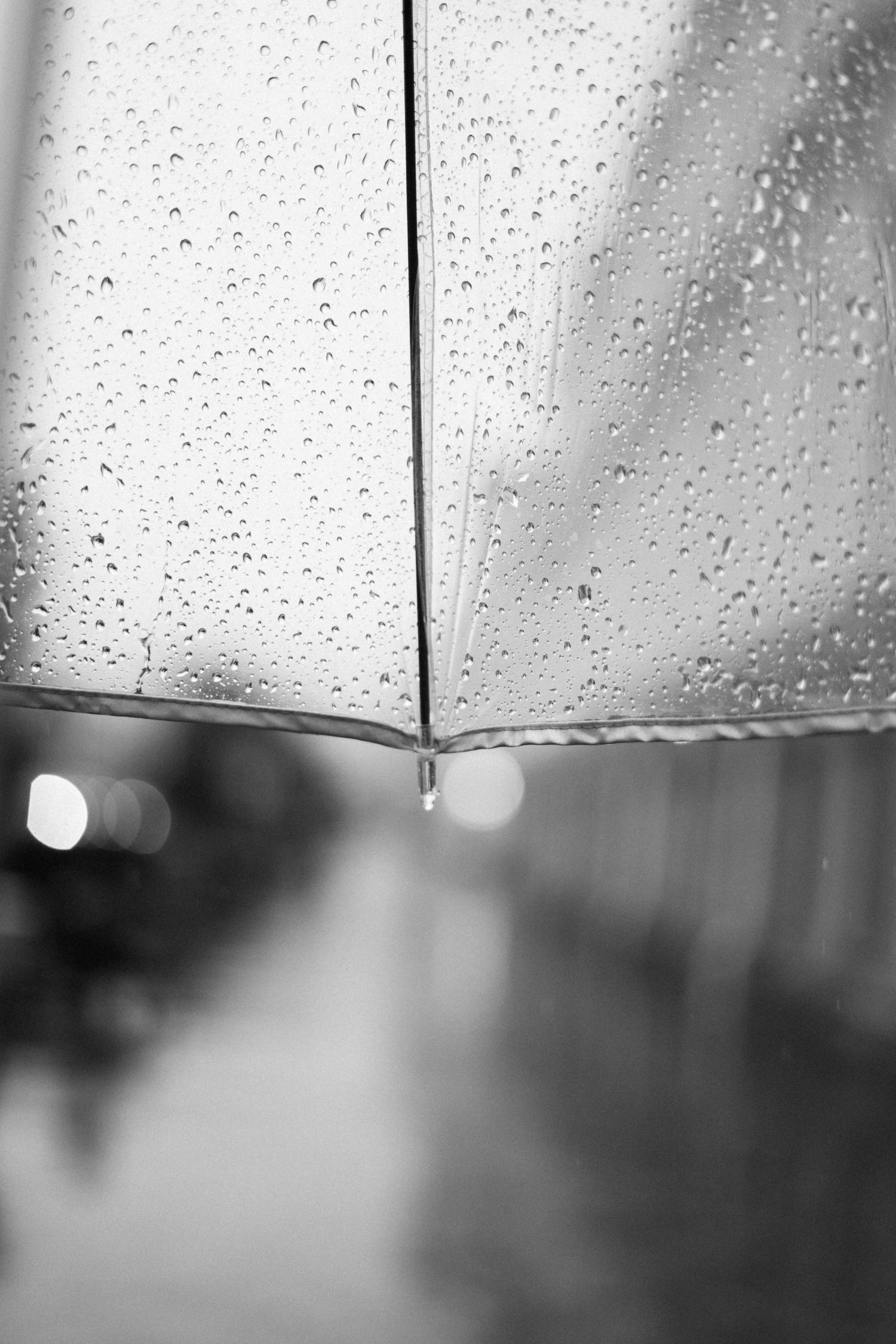 Black and white view from under a translucent umbrella covered in raindrops, with a single drop suspended from the center. A blurry street and soft bokeh lights are visible in the background.