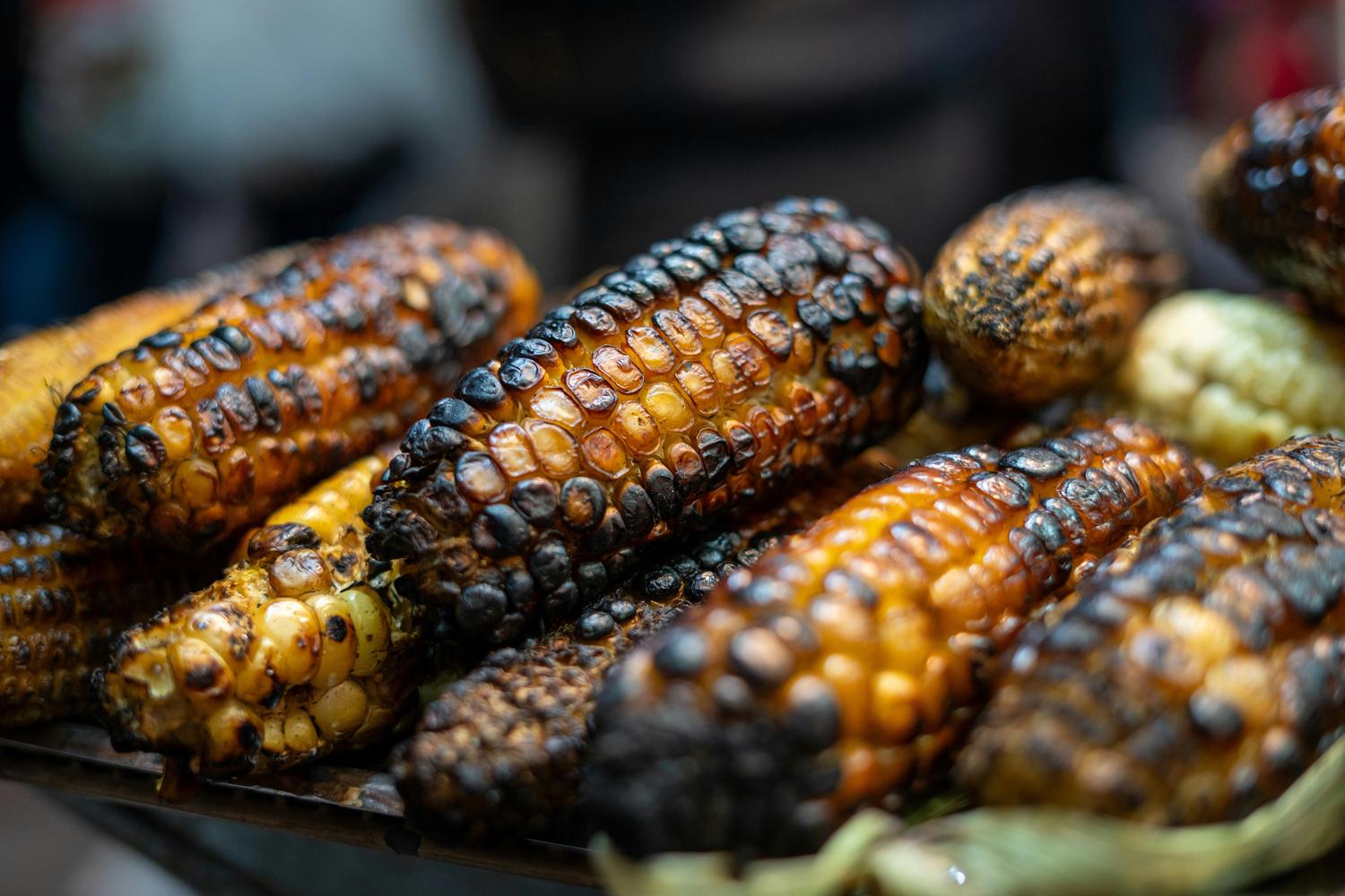 Close-up of several ears of corn, heavily charred and roasted, with yellow-orange kernels visible between the darkened parts.