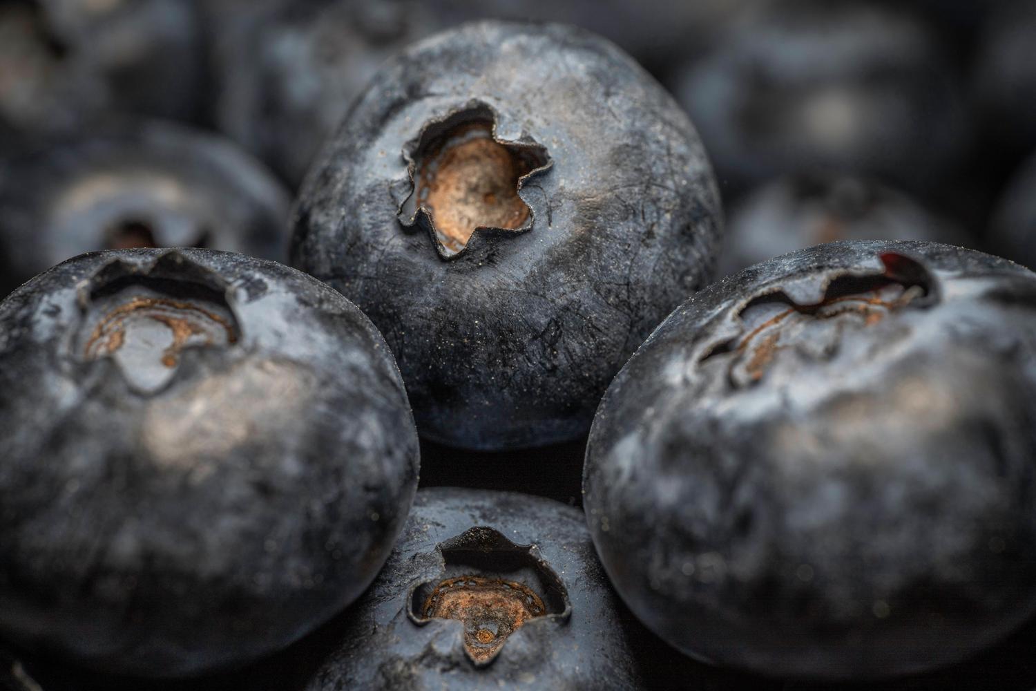 A close-up shot of several dark blue blueberries with their distinctive, slightly reddish-brown crowns visible. The berries have a natural dusty bloom on their skin.
