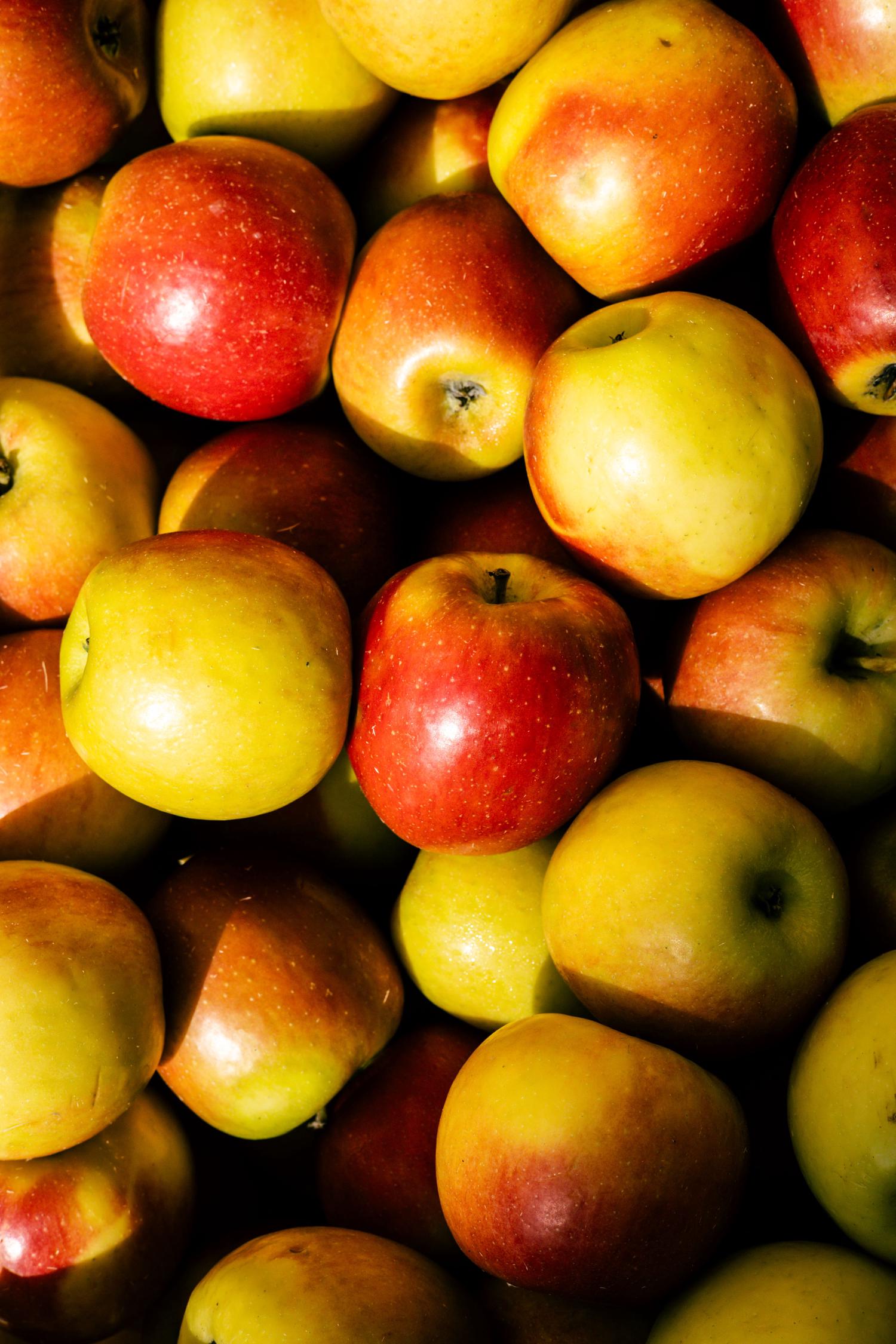 A close-up view shows many apples, a mix of bright red and golden yellow, tightly packed together.