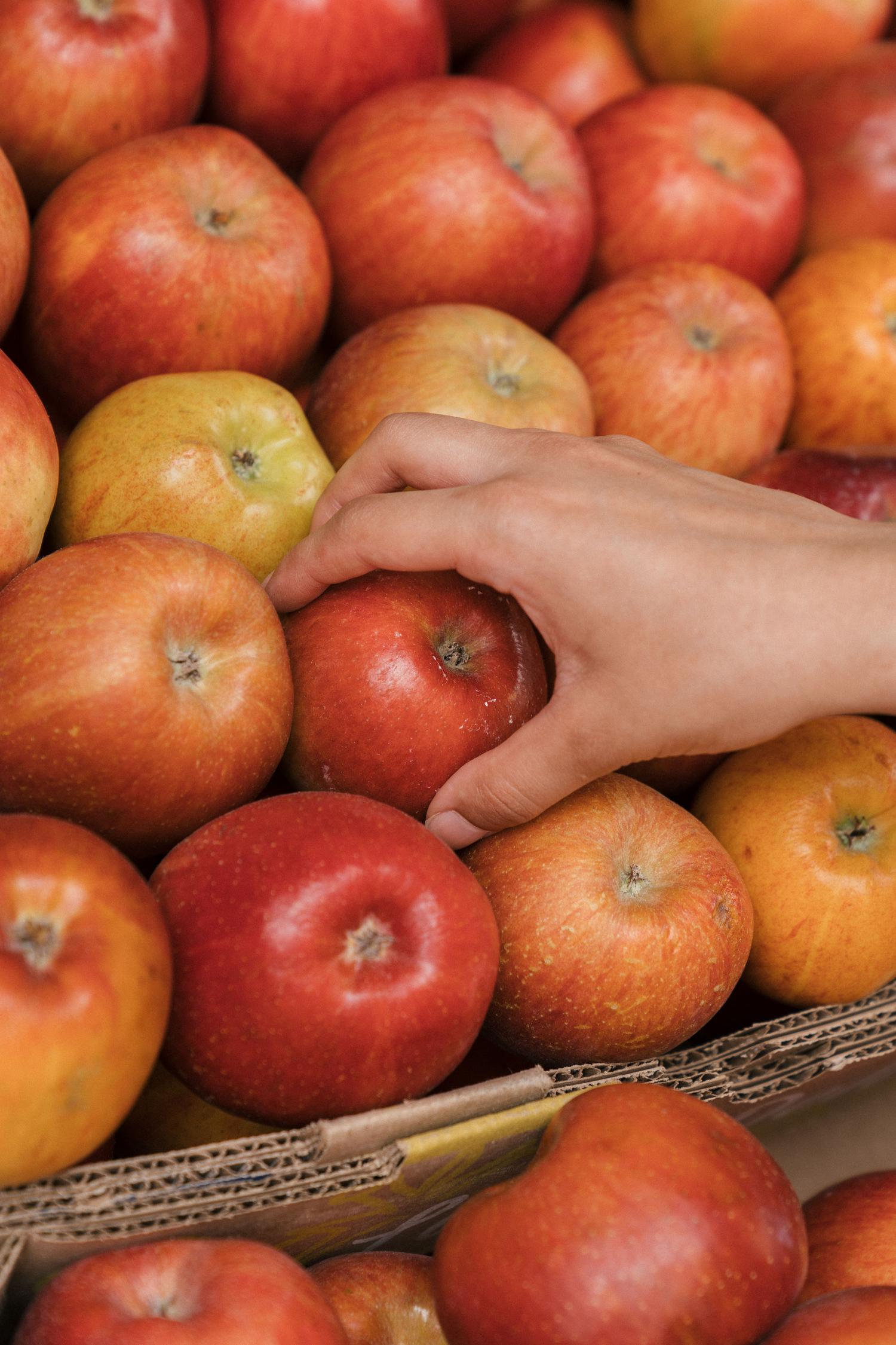 A hand reaches for a red apple among many red, orange, and yellow apples packed in a cardboard box.