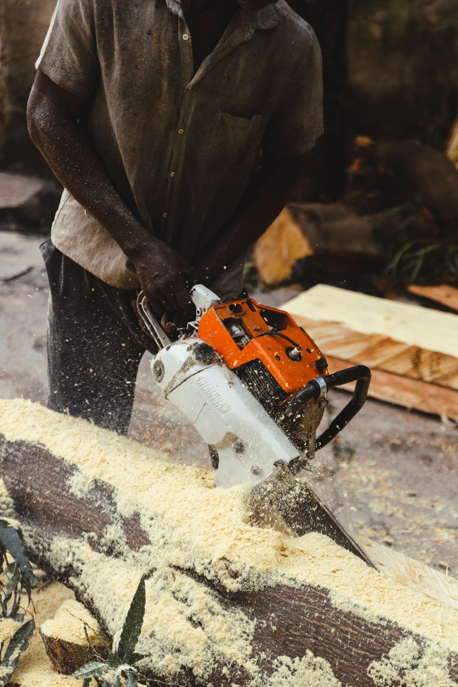A person uses an orange and white chainsaw to cut a large log, with sawdust actively flying and coating the log and the worker.